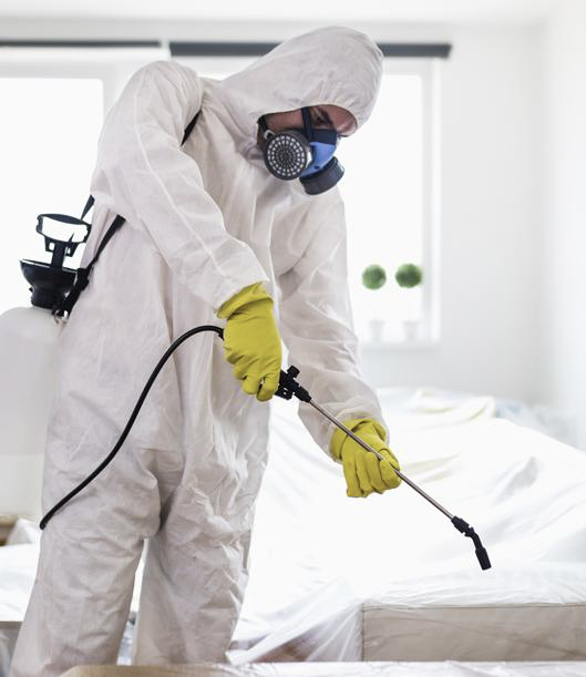 Дезінфекція від клопів Варшава